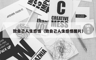 致自己人生感悟（致自己人生感悟图片）