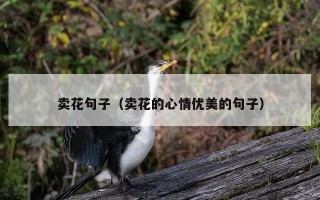 卖花句子（卖花的心情优美的句子）