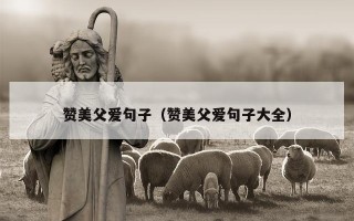 赞美父爱句子（赞美父爱句子大全）