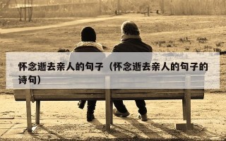 怀念逝去亲人的句子（怀念逝去亲人的句子的诗句）