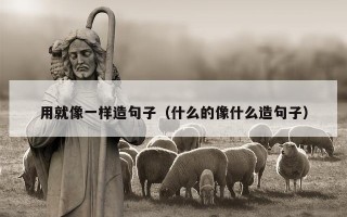 用就像一样造句子（什么的像什么造句子）