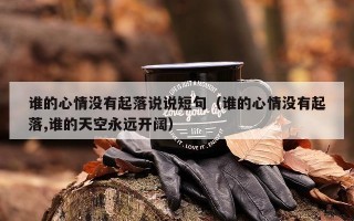 谁的心情没有起落说说短句（谁的心情没有起落,谁的天空永远开阔）