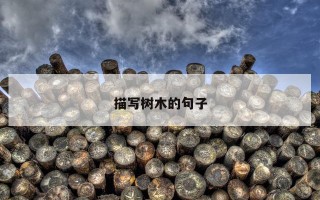 描写树木的句子 描写树木的句子