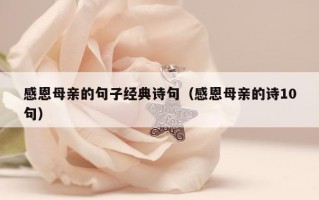 感恩母亲的句子经典诗句（感恩母亲的诗10句）