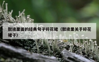 默读里面的经典句子碎花裙（默读里关于碎花裙子）