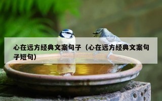 心在远方经典文案句子（心在远方经典文案句子短句）
