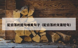 配日落的短句唯美句子（配日落的文案短句）