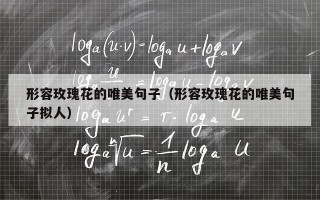 形容玫瑰花的唯美句子（形容玫瑰花的唯美句子拟人）