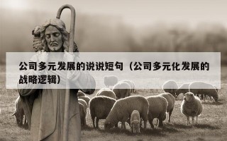 公司多元发展的说说短句（公司多元化发展的战略逻辑）
