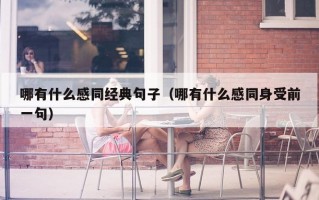 哪有什么感同经典句子（哪有什么感同身受前一句）