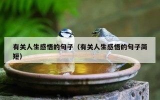 有关人生感悟的句子（有关人生感悟的句子简短）