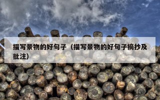 描写景物的好句子（描写景物的好句子摘抄及批注）