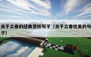 关于立春的经典赏析句子（关于立春优美的句子）