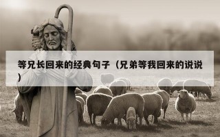等兄长回来的经典句子（兄弟等我回来的说说）