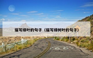 描写绿叶的句子（描写绿树叶的句子）