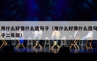 用什么好像什么造句子（用什么好像什么造句子二年级）