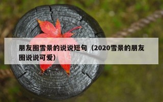 朋友圈雪景的说说短句（2020雪景的朋友圈说说可爱）