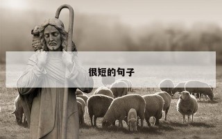很短的句子