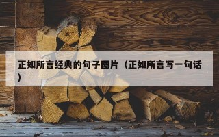 正如所言经典的句子图片（正如所言写一句话）