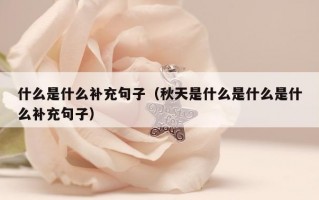 什么是什么补充句子（秋天是什么是什么是什么补充句子）
