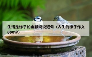 生活是梯子的幽默说说短句（人生的梯子作文600字）