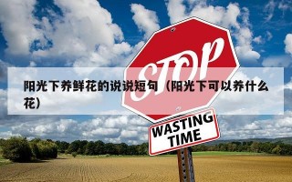 阳光下养鲜花的说说短句（阳光下可以养什么花）