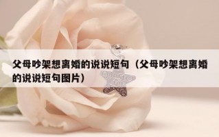 父母吵架想离婚的说说短句（父母吵架想离婚的说说短句图片）