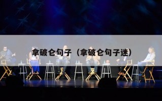 拿破仑句子（拿破仑句子迷）