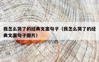 我怎么哭了的经典文案句子（我怎么哭了的经典文案句子图片）
