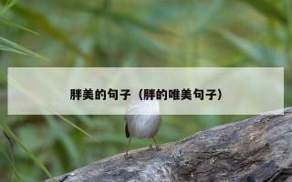 胖美的句子（胖的唯美句子）