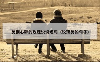 美到心碎的玫瑰说说短句（玫瑰美的句子）
