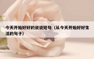 今天开始好好的说说短句（从今天开始好好生活的句子）