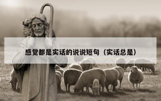 感觉都是实话的说说短句（实话总是）