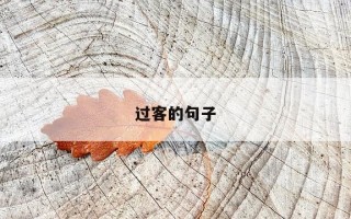 过客的句子 过客的句子