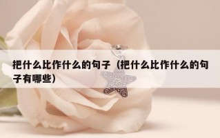 把什么比作什么的句子（把什么比作什么的句子有哪些）