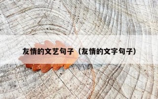友情的文艺句子（友情的文字句子）