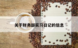 关于财务部实习日记的信息