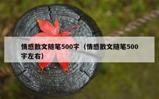 情感散文随笔500字（情感散文随笔500字左右）