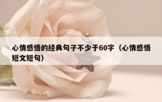 心情感悟的经典句子不少于60字（心情感悟短文短句）
