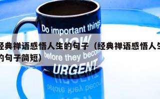 经典禅语感悟人生的句子（经典禅语感悟人生的句子简短）