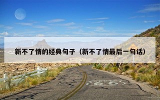 新不了情的经典句子（新不了情最后一句话）