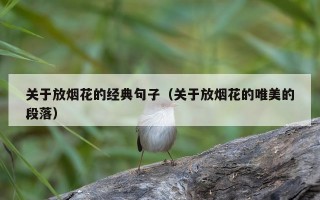 关于放烟花的经典句子（关于放烟花的唯美的段落）