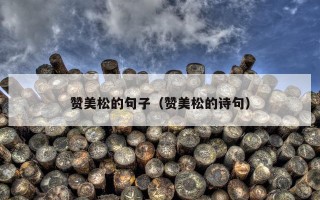 赞美松的句子（赞美松的诗句）