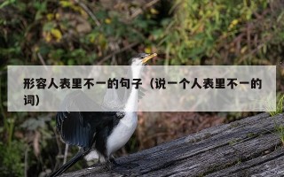 形容人表里不一的句子（说一个人表里不一的词）