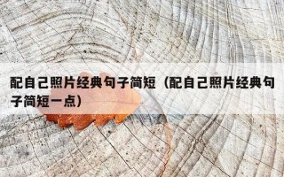 配自己照片经典句子简短（配自己照片经典句子简短一点）