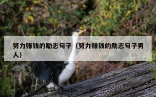 努力赚钱的励志句子（努力赚钱的励志句子男人）