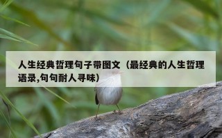 人生经典哲理句子带图文（最经典的人生哲理语录,句句耐人寻味）