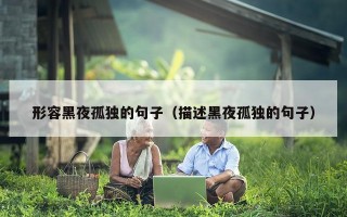 形容黑夜孤独的句子（描述黑夜孤独的句子）