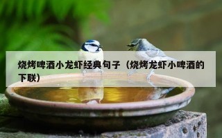 烧烤啤酒小龙虾经典句子（烧烤龙虾小啤酒的下联）