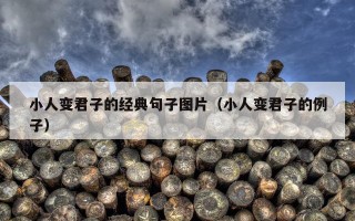 小人变君子的经典句子图片（小人变君子的例子）